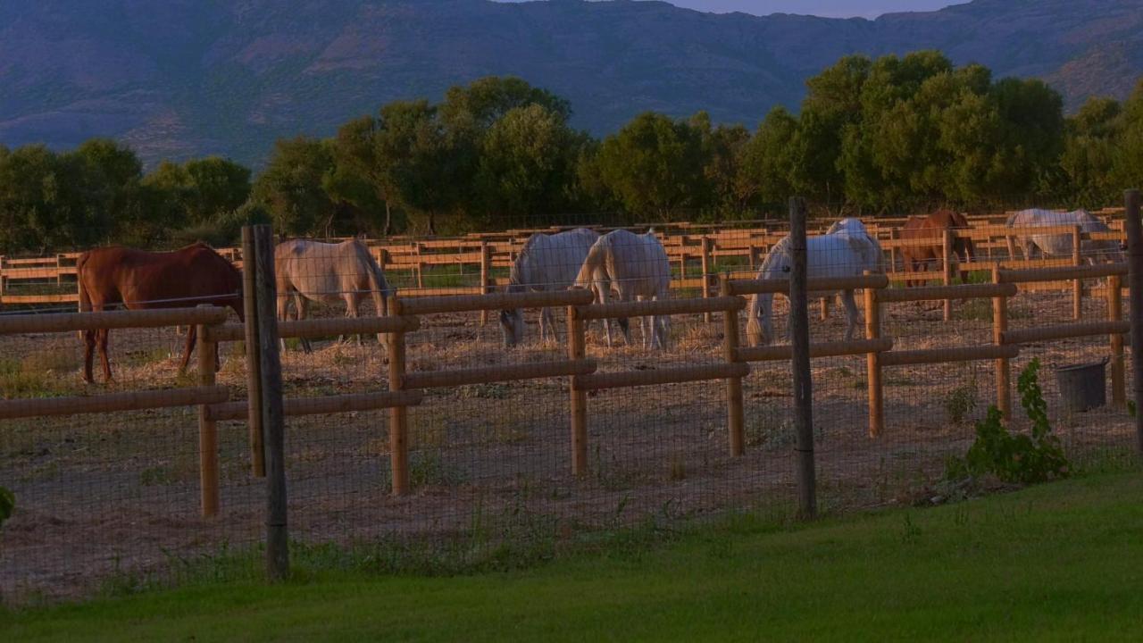 Agriturismo Santa Lucia Tratalias Экстерьер фото